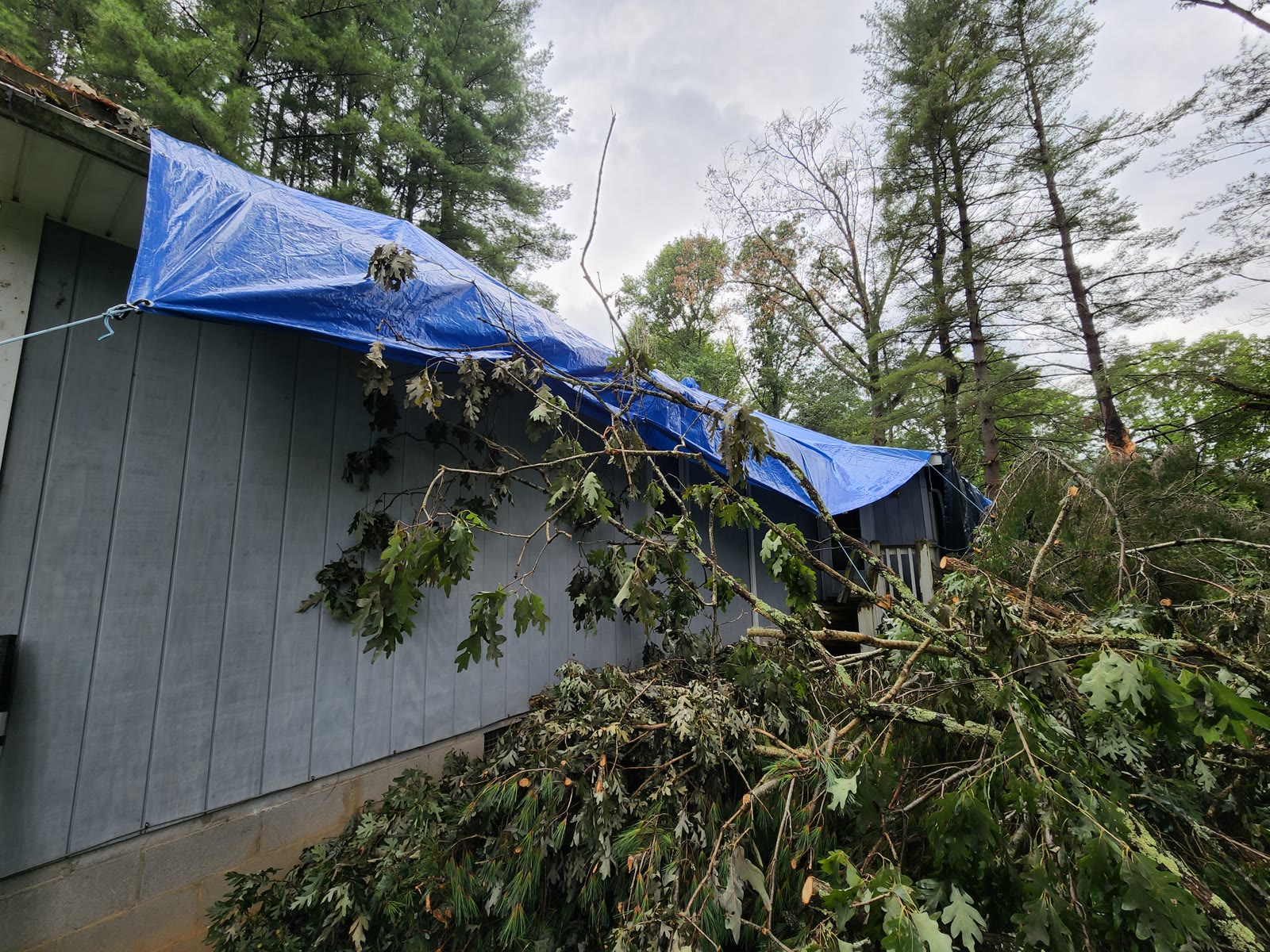 A Western North Carolina home with fallen tree limbs and a blue emergency roof tarp installed by RuFR USA after storm damage
